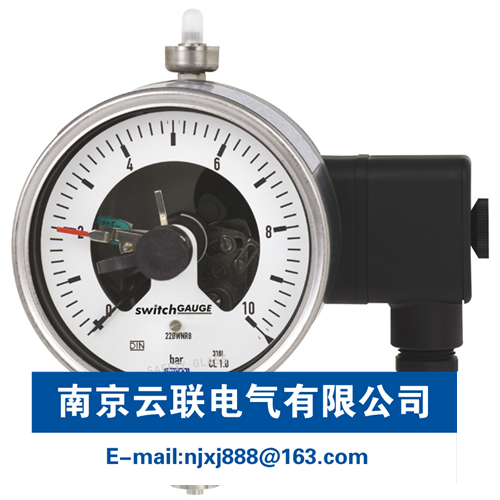 WIKA PGS23.100, PGS23.160 帶開關(guān)電接點(diǎn)的波登管壓力表 適合過程工業(yè)，NS 100和160 - 副本